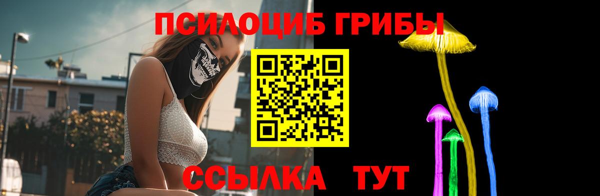 Тамбов  Галлюциногенные грибы прущие грибы  даркнет сайт  Вход с VPN  Псилоцибиновые грибы GOLDEN TEACHER 